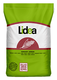 nasiona sorgo od Lidea