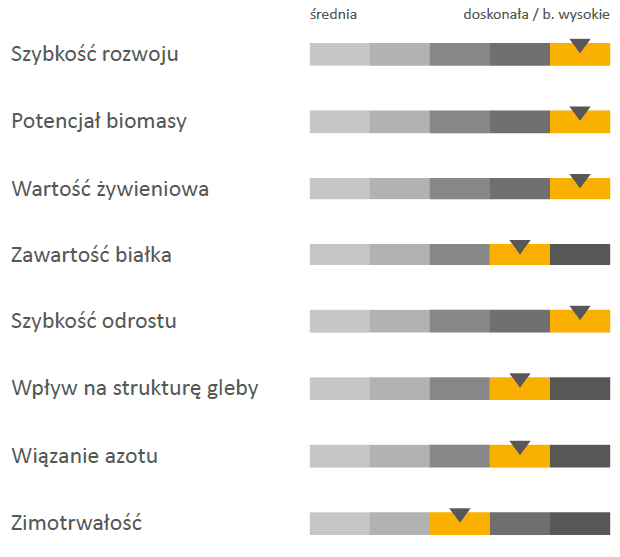 Cechy agronomiczne mieszanki CS STOCK CTT