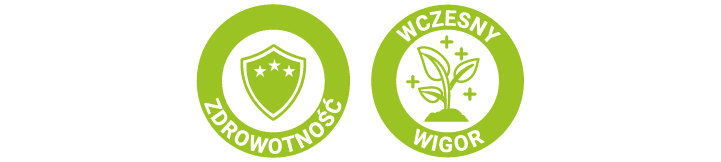zdrowotność, wczesny wigor kukurydzy LID2610C