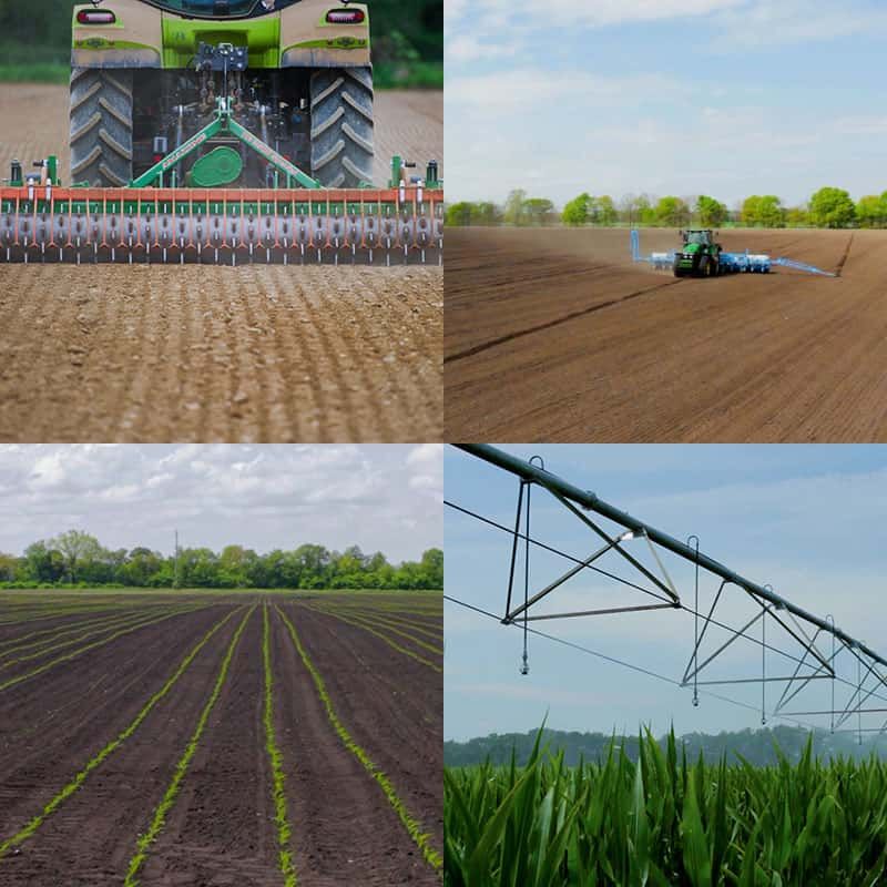 staranne przygotowanie pola do produkcji nasiennej, siew kukurydzy wykonany na właściwą głębokość i równo, a także nawadnianie i lustracje pola stanowią klucz do sukcesu Lidea