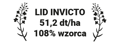 Lid Invicto plon 5,1 t/ha, 108% wzorca
