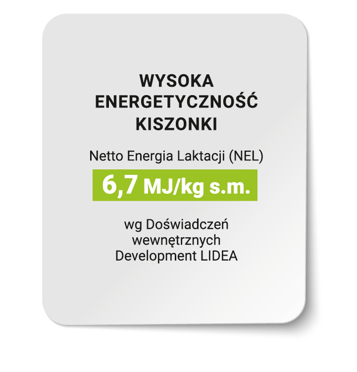 WYSOKA ENERGETYCZNOŚĆ KISZONKI CS ALCHIMI