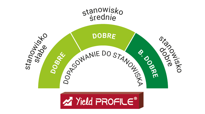 dobór stanowiska es midway