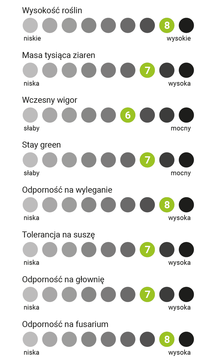 cechy agronomiczne Winterstone