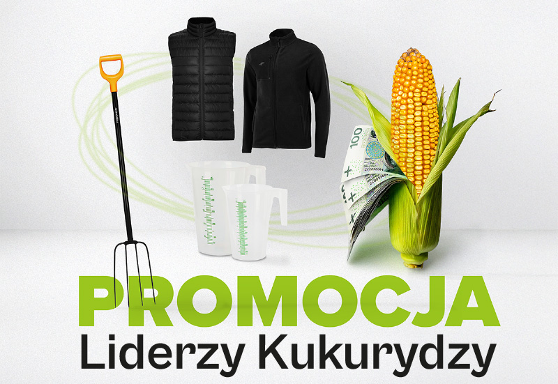 proocja liderzy kukurydzy