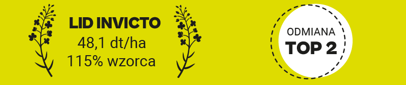 wyniki plonowania lid invicto w 2025