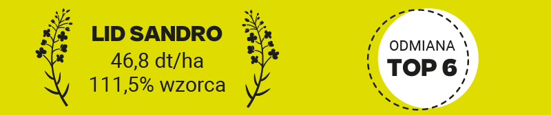 wyniki plonowania lid sandro w 2025