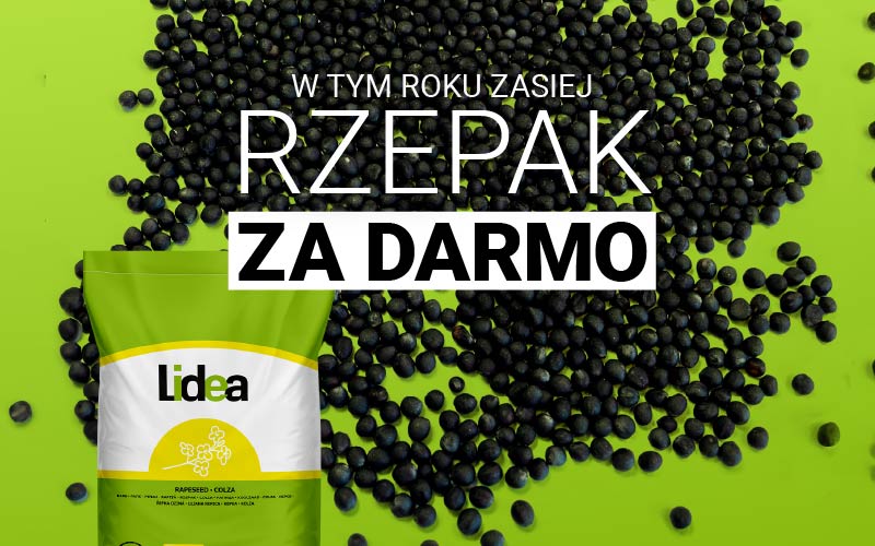 biologiczna uprawa 2025 rzepak