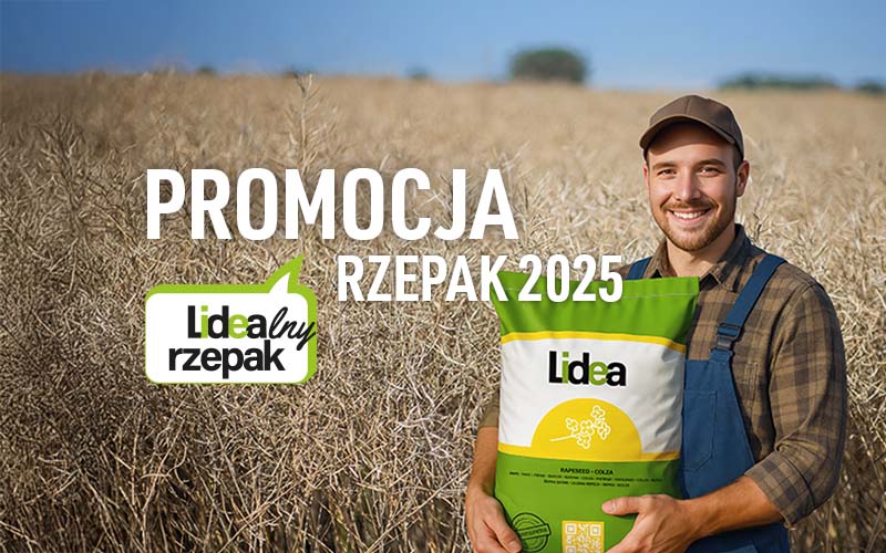 promocja nasiona rzepaku