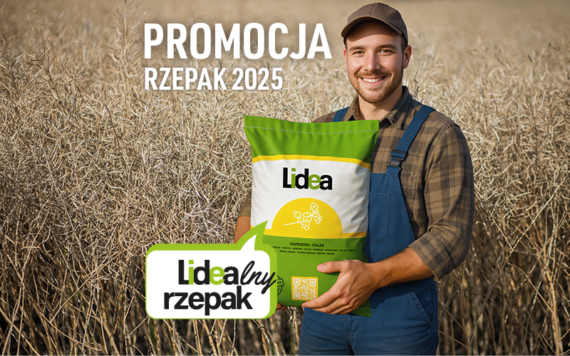 promocja rzepak odmiany lidea 2025