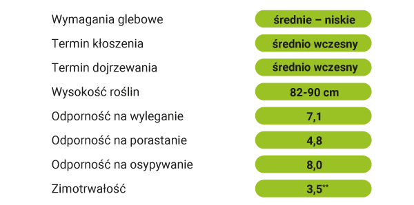 cechy agronomioczne lid saraband