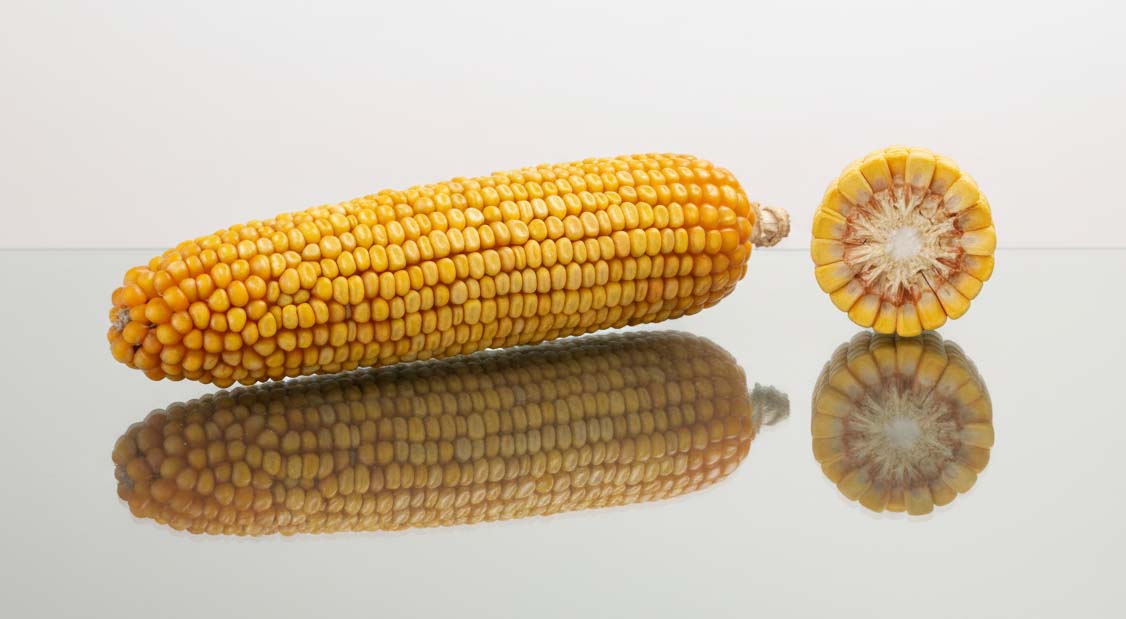 KOLBA I PRZEKRÓJ ODMIANY ES INVENTIVE