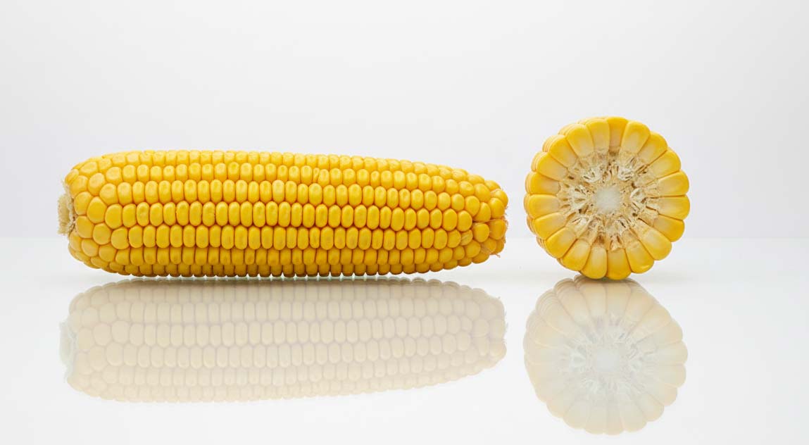 kolba odmiany kukurydzy lid1145c