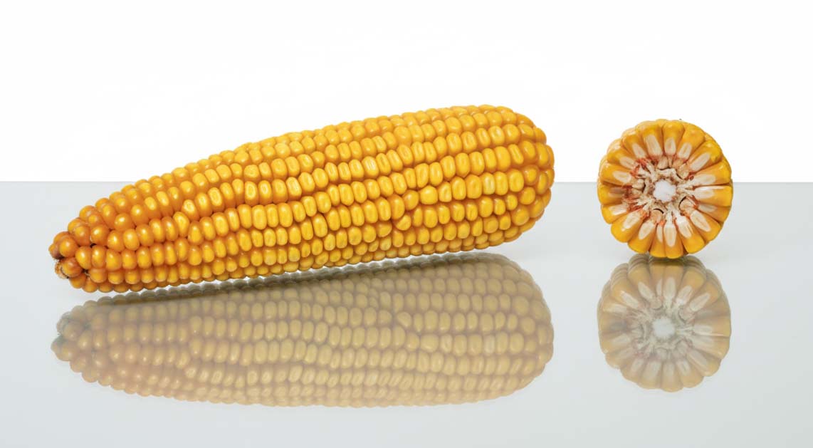 PRZEKRÓJ KOLBY LID2123C