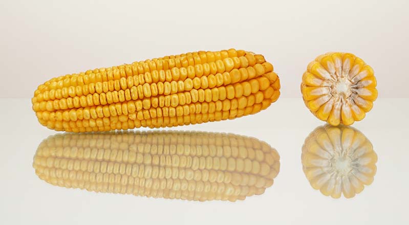 KOLBA  I PRZEKRÓJ LID2233C