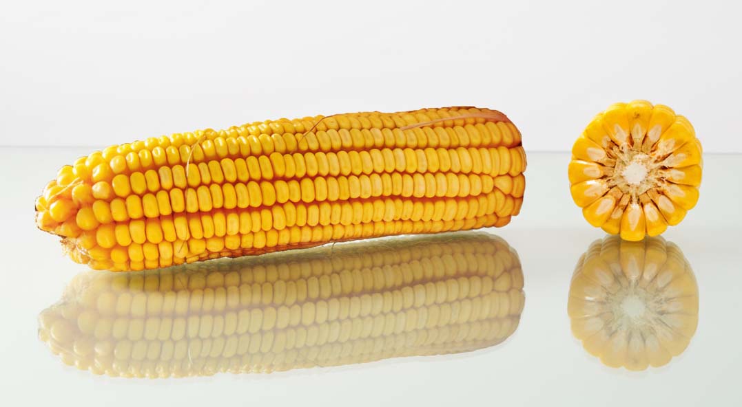 KOLBA I PRZEKRÓJ LID2334C