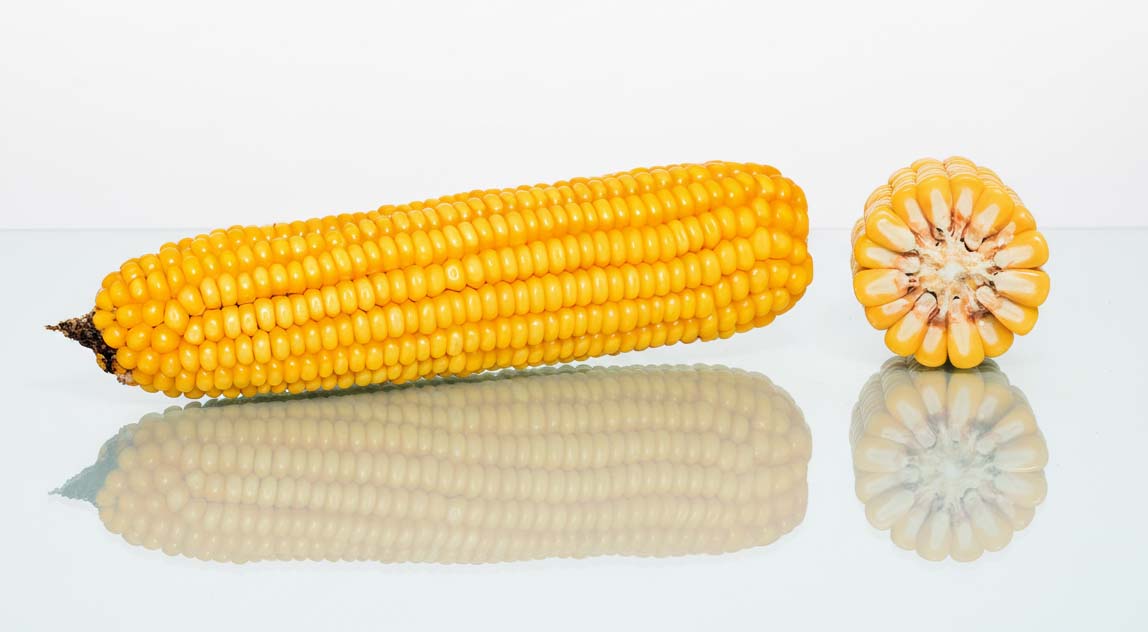 KOLBA KUKURYDZY LID3306C