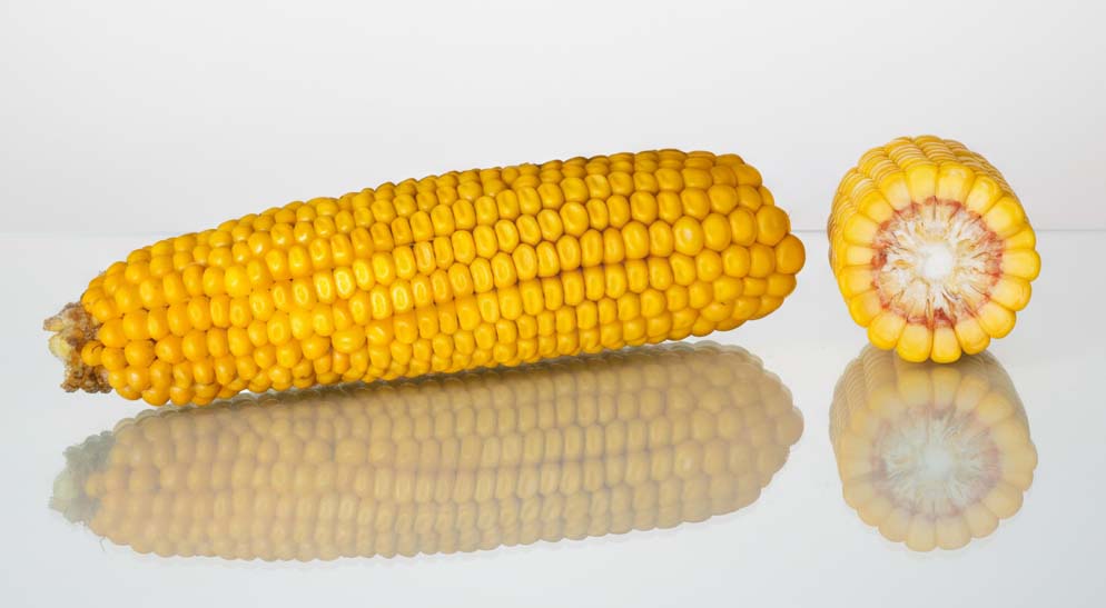 KOLBA I PRZEKRÓJ LID4040C