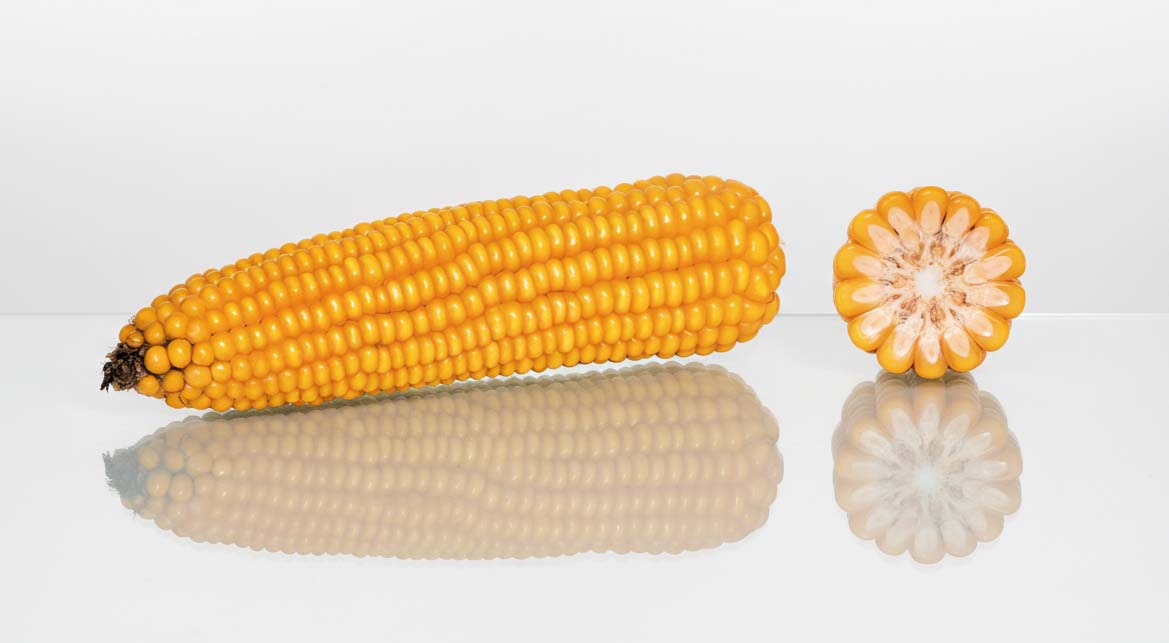 KOLBA KUKURYDZY CS LUXURI