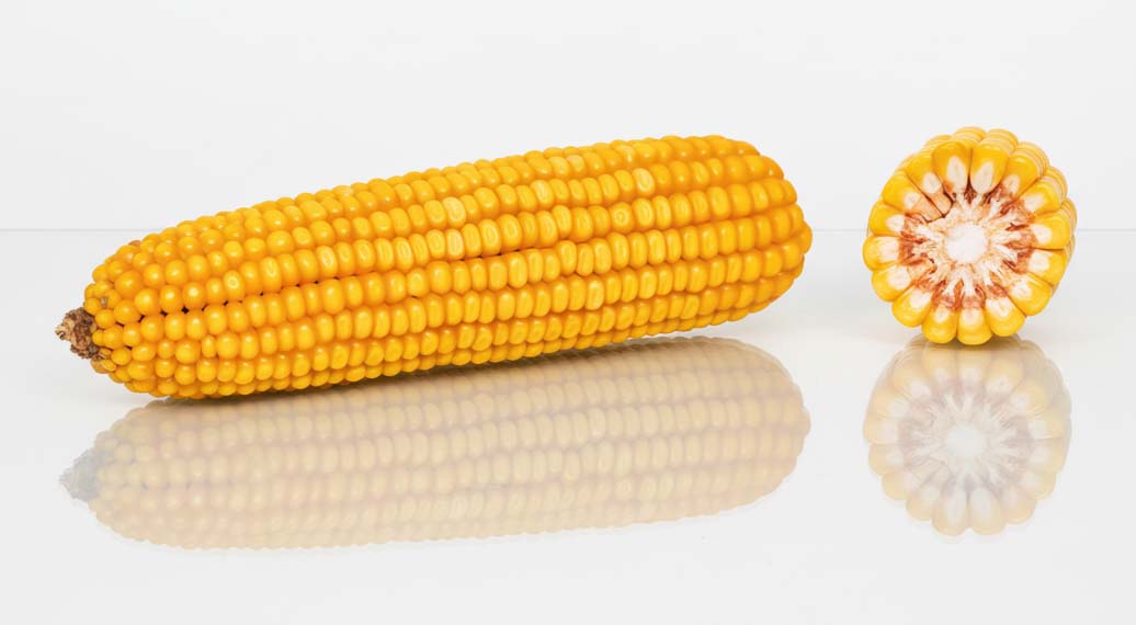 kolba i przekrój es myfriend