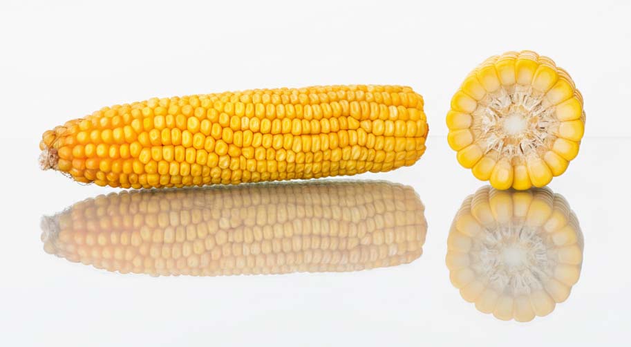 kolba kukurydzy i przekrój oklahoma