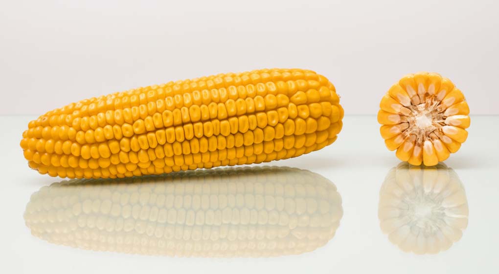 kolba i przekrój redford