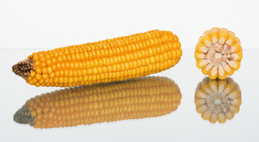 tonifi kolba i przekrój