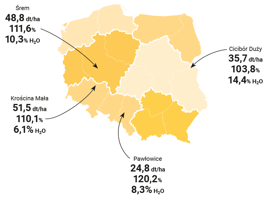 Mapa plonowania słonecznika ES Oasis CLP w Polsce (Doświadczenia COBORU 2024). Najwyższy wynik względem wzorca w Pawłowicach (120%), najwyższy plon w Krościnie Małej (51,5 dt/ha) i Śremie (48,8 dt/ha)