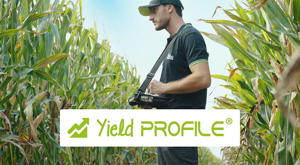 W trakcie badań nad Yield Profile, aby dopasować kukurydzę do stanowiska, badamy odmiany w ponad 200 lokalizachach polowych. Dzięki temu nasze dane mają podstawę naukową.