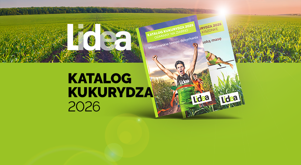 KATALOG KUKURYDZA NA ZIARNO I KISZONKE 2026