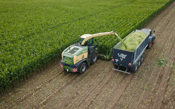 ZBIÓR KUKURYDZY NA KISZONKĘ ES JOKER W WIELKOPOLSCE