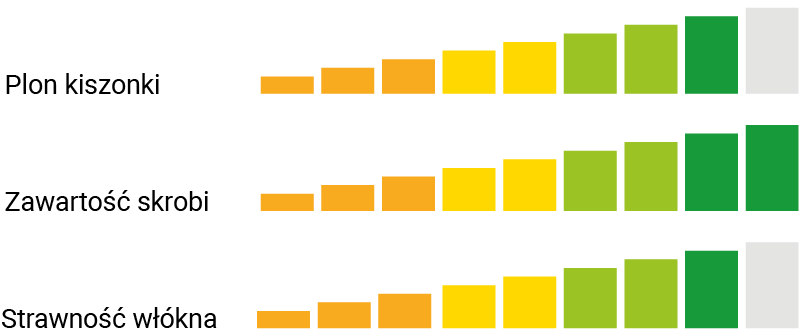 ROLLINGSTONE UZYTKOWANIE KISZONKOWE