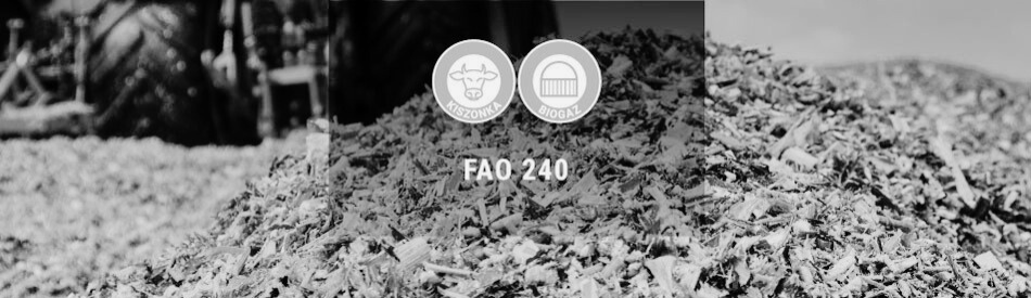 Kukurydza na kiszonkę i biogaz ES Recorder od Lidea