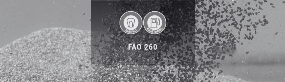 Kukurydza Ostinati CS na ziarno i bioetanol