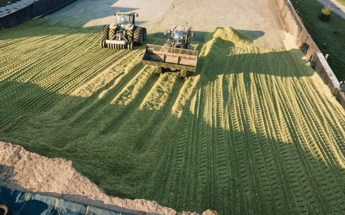silos kukurydza na kiszonkę od Lidea