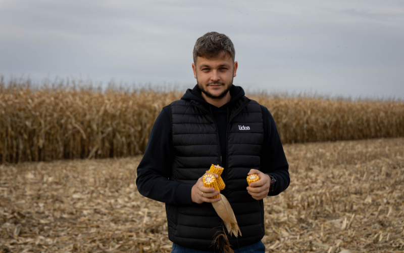 Tropical Dent kukurydza